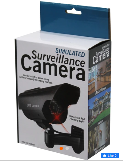 Simulated Surveillance Camera with Flashing LED